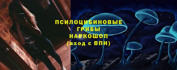 шишки Нефтегорск