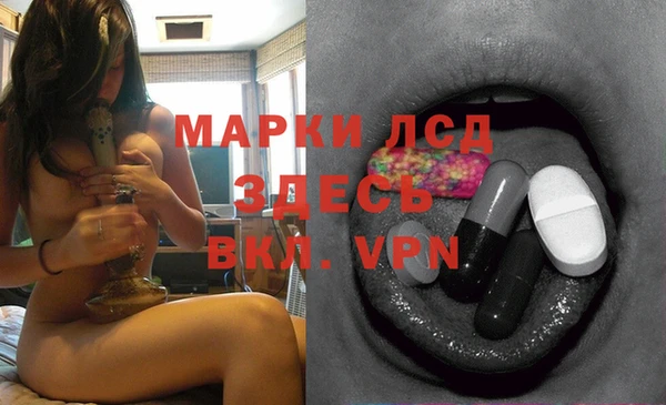 мяу мяу мука Абдулино