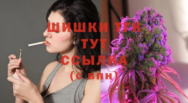 шишки Нефтегорск