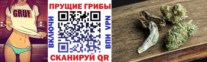 дарк нет официальный сайт  Норильск  Галлюциногенные грибы Psilocybe 